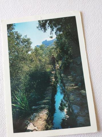 Mallorca - Canaleta de Massanella No. 12 (URPSA) beschikbaar voor biedingen