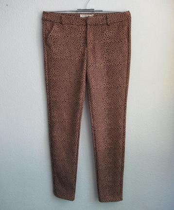 Broek in tijgerprint van My Jewellery Limited - mt M beschikbaar voor biedingen