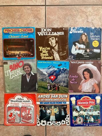 Diverse vinyl singeltjes beschikbaar voor biedingen