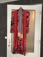 Carnaval Hippie, Carnaval, Maat 42/44 (L), Ophalen of Verzenden, Kleding