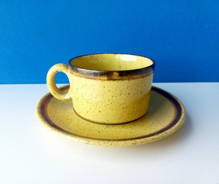 Vintage kop en schotel/Pottery Zaalberg, Huis en Inrichting, Keuken | Servies, Gebruikt, Kop(pen) en/of Schotel(s), Ophalen of Verzenden
