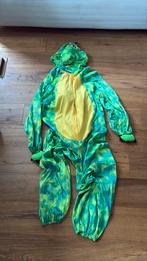 Draak verkleepak, Ophalen of Verzenden, Zo goed als nieuw, Kleding