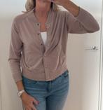 Oudroze vestje Drykorn maat M, Kleding | Dames, Truien en Vesten, Ophalen of Verzenden, Zo goed als nieuw, Maat 38/40 (M), Roze