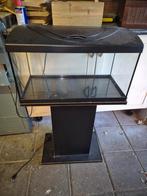 Aquarium 60 liter met onderkast, Dieren en Toebehoren, Ophalen, Zo goed als nieuw, Leeg aquarium