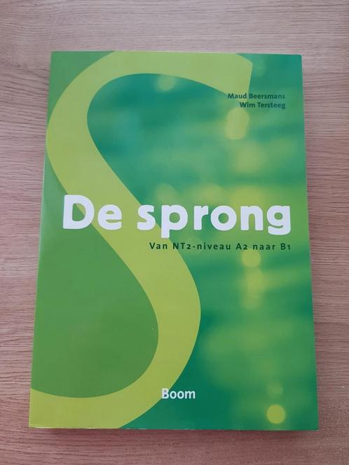 Maud Beersmans - De sprong, Boeken, Schoolboeken, Zo goed als nieuw, Nederlands, Overige niveaus, Ophalen of Verzenden