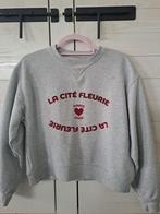 Sweater, grijs, maat 164, merk ZARA, Kinderen en Baby's, Kinderkleding | Maat 164, Ophalen of Verzenden, Zo goed als nieuw, Meisje