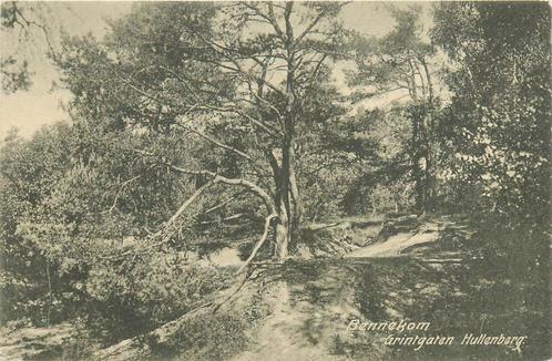 (387-208-013) Bennekom Grintgaten Hullenberg, Verzamelen, Ansichtkaarten | Nederland, Gelderland, Verzenden