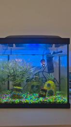 Superfish start 30 model, Dieren en Toebehoren, Vissen | Aquaria en Toebehoren, Ophalen, Leeg aquarium