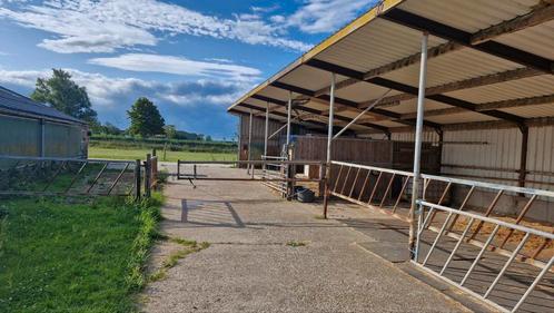 Stalling vrij voor kleine pony, Dieren en Toebehoren, Stalling en Weidegang, Stalling