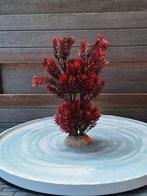 Kunstplanten voor aquarium  3 euro per stuk, Ophalen of Verzenden, Nieuw, Plant(en), Steen of Hout
