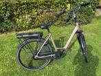 Stella Livorno Gold 2020, Gebruikt, 51 tot 55 cm, 50 km per accu of meer, Ophalen