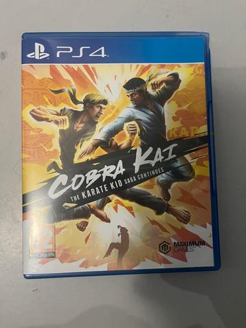 Cobra Kai : The Karate Kid Saga Continues beschikbaar voor biedingen
