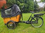 Elektrische bakfiets Vogue Carry 3, Ophalen of Verzenden, Zo goed als nieuw, 4 kinderen of meer, Overige merken