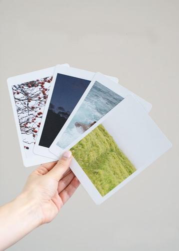 Ansichtkaarten Natuurfoto's op gerecycled papier beschikbaar voor biedingen