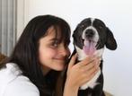 Waar mag deze leuke pup Lexi komen wonen?, Dieren en Toebehoren, Honden | Niet-rashonden, Particulier, Rabiës (hondsdolheid), 15 weken tot 1 jaar