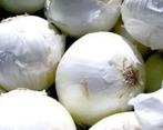 Ui White Queen, Ophalen of Verzenden, Voorjaar, Volle zon, Zaad