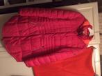 GAASTRA - mooie winterjas fuchsia maat 3XL, Kleding | Dames, Jassen | Winter, Gaastra, Verzenden, Maat 46/48 (XL) of groter, Zo goed als nieuw