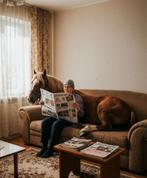 Stalling gezocht voor lieve, sociale ruin(en)in Salland, Dieren en Toebehoren, Stalling en Weidegang