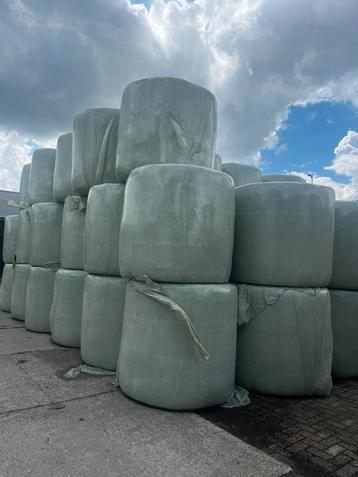 Natuurgras ronde balen beschikbaar voor biedingen