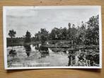 Ansichtkaart Hoogeveen Spaarbankbosch 035-2, Verzamelen, Ansichtkaarten | Nederland, Ophalen of Verzenden, Drenthe