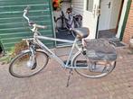 giant twister herenfiets e-bike, Fietsen en Brommers, Elektrische fietsen, Ophalen, Gebruikt, Giant, 59 cm of meer