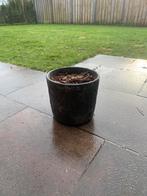 Grijs stenen plantenbak / bloempot, Tuin en Terras, Bloembakken en Plantenbakken, Ophalen, Steen, Minder dan 30 cm, Binnen