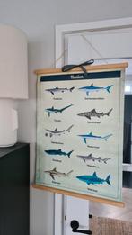 Vintage look schoolposter met haaien, Ophalen of Verzenden, Wanddecoratie, Zo goed als nieuw
