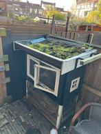 Kippen/ konijnen hok, Dieren en Toebehoren, Knaagdieren en Konijnen | Hokken en Kooien, Ophalen, 90 cm of meer, Konijn, Hok