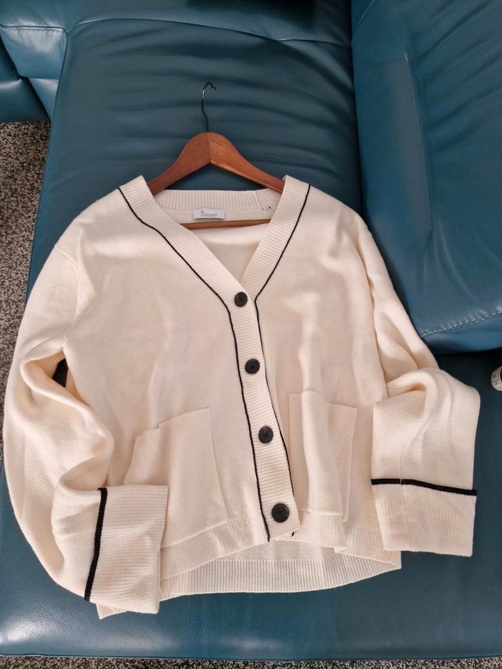 Prachtig roomwit vest Princess nieuw! Staat 42 valt als 44!!, Kleding | Dames, Truien en Vesten, Nieuw, Maat 42/44 (L), Wit, Ophalen of Verzenden