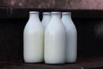 Biologische rauwe melk tot aan je voordeur bezorgd!, Diversen, Levensmiddelen, Ophalen of Verzenden