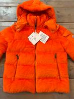 Moncler Tesdy dames winterjas oranje maat 1 (M), Maat 38/40 (M), Moncler, Nieuw, Oranje