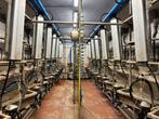 Delaval 2x8 Visgraat Melkstal, Ophalen