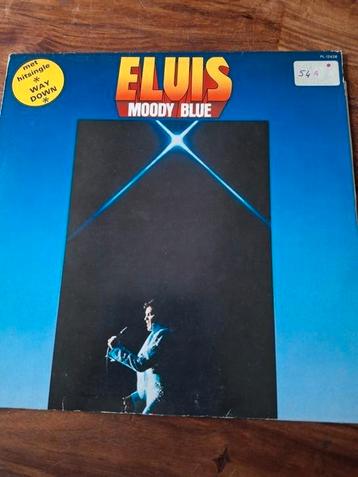 Elvis moody blue beschikbaar voor biedingen