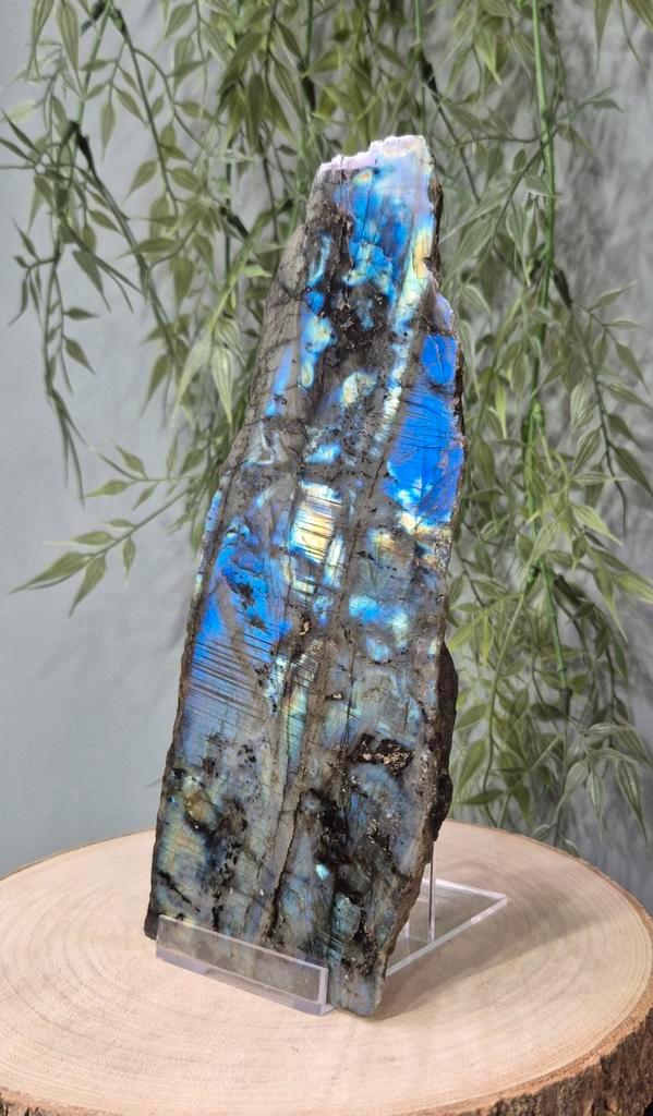 Mooi half gepolijste Labradoriet, Verzamelen, Mineralen en Fossielen, Ophalen of Verzenden