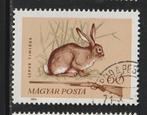 Hongarije 1965 - Haas, Ophalen of Verzenden, Gestempeld