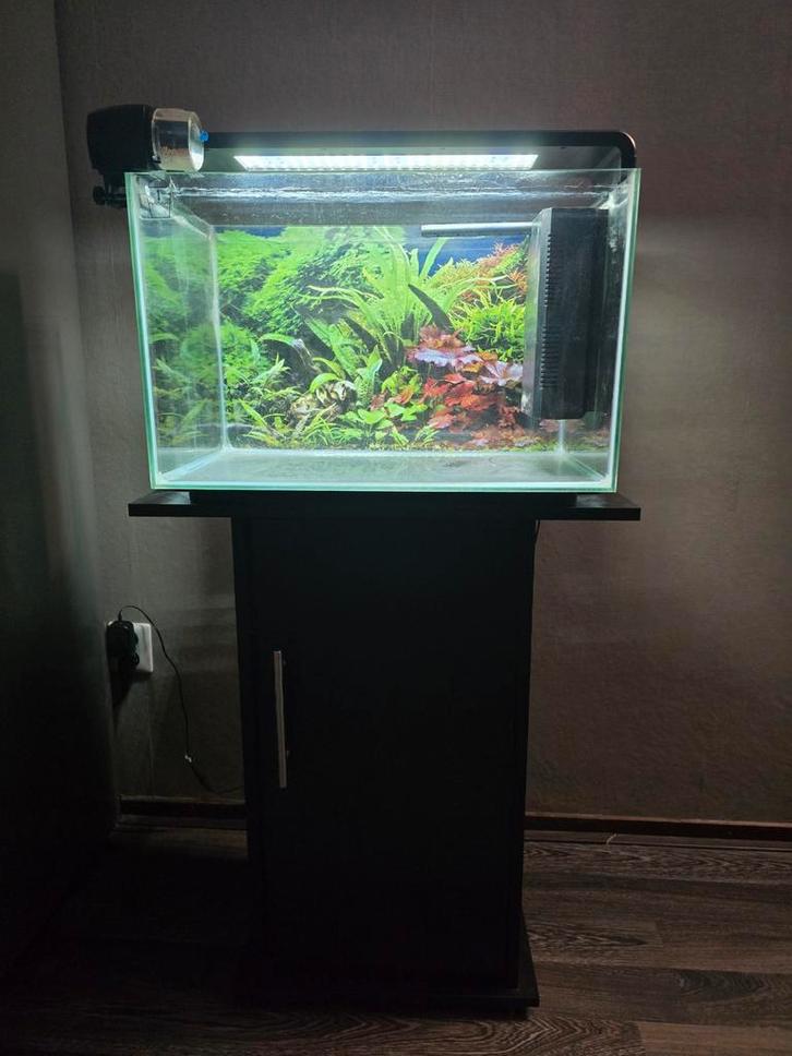SuperFish Home 60 Aquarium Compleet, Dieren en Toebehoren, Vissen | Aquaria en Toebehoren, Zo goed als nieuw, Leeg aquarium, Ophalen