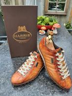 Harris herenschoenen sneakers maat 6.5, Kleding | Heren, Schoenen, Ophalen, Harris, Overige kleuren, Sneakers of Gympen