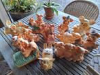 11 spaarpotten varkens, Verzamelen, Ophalen of Verzenden, Gebruikt, Kunststof, Dier
