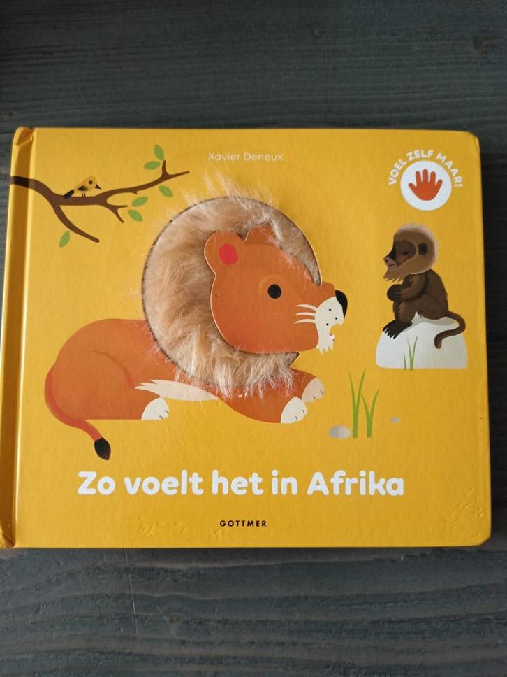 Xavier Deneux - Zo voelt het in Afrika, Boeken, Kinderboeken | Baby's en Peuters, Zo goed als nieuw, 3 tot 4 jaar, Uitklap-, Voel- of Ontdekboek