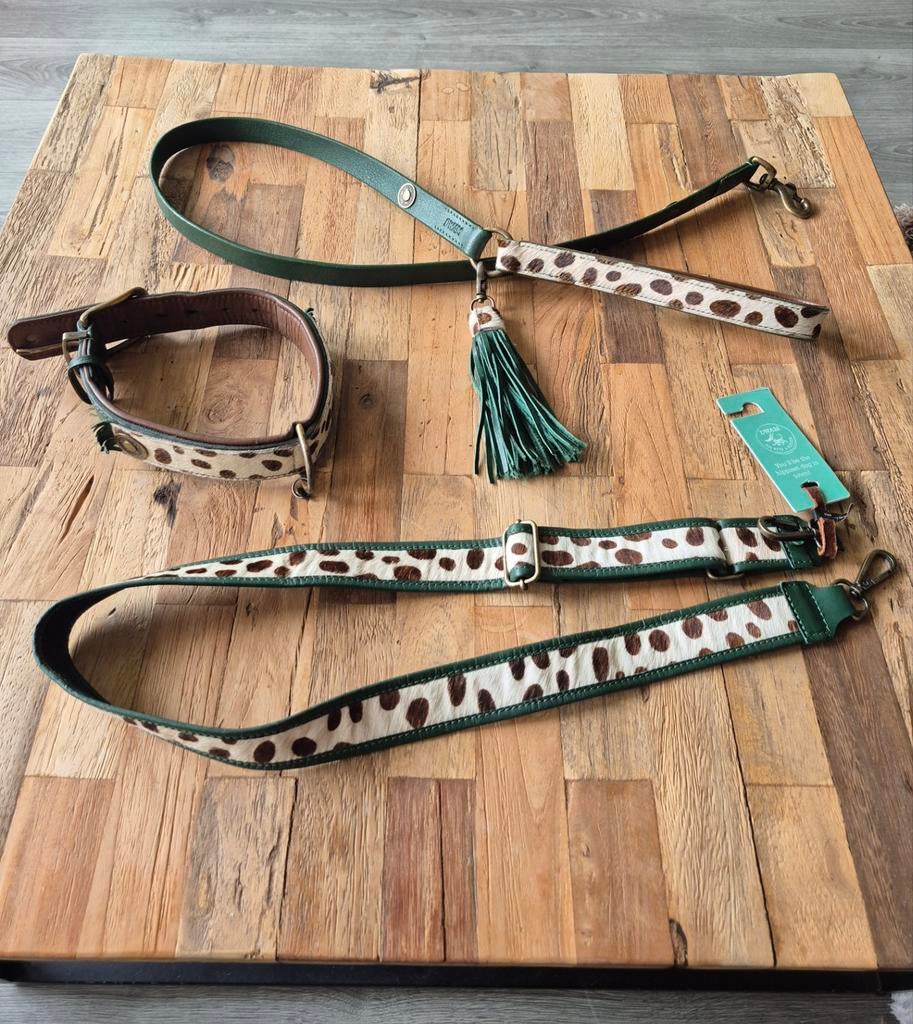 DWAM Ivy Set, Eén persoon