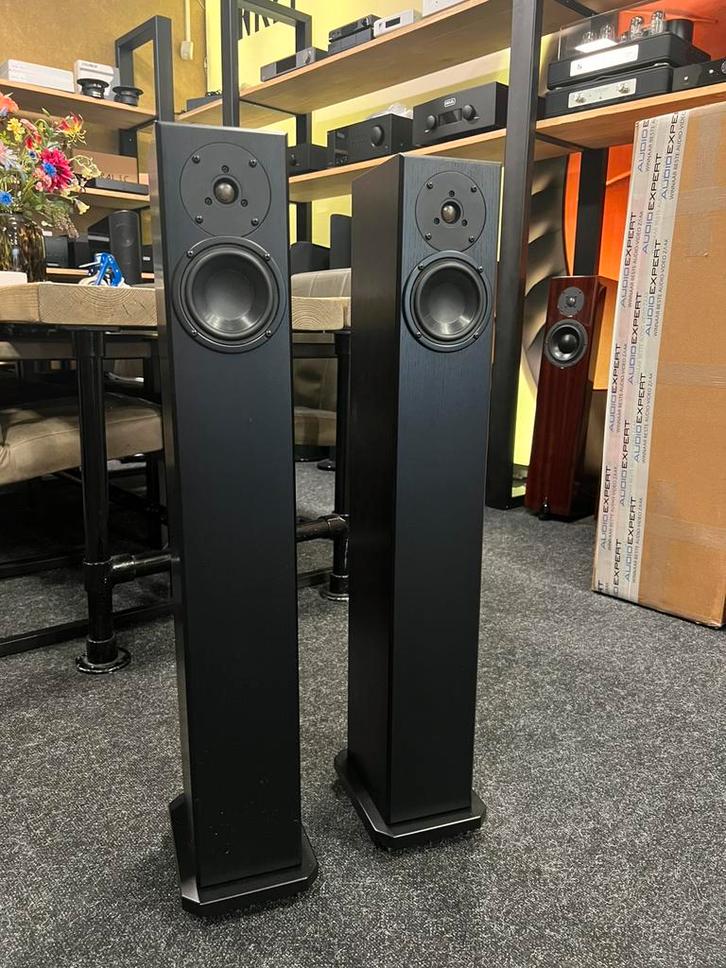Totem Arro, Audio, Tv en Foto, Luidsprekers, Refurbished, Front, Rear of Stereo speakers, 120 watt of meer, Overige merken, Ophalen of Verzenden