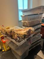 Grote partij droogbloemen inclusief opbergbakken, Huis en Inrichting, Woonaccessoires | Droogbloemen, Ophalen, Nieuw