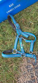 Pony halster, Dieren en Toebehoren, Ophalen of Verzenden, Zo goed als nieuw, Overige soorten