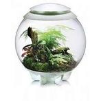 biOrb Air 60 – Automatisch Terrarium Wit - Nieuw!, Ophalen, Zo goed als nieuw, Terrarium of Paludarium