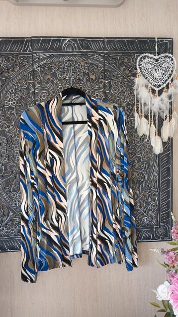 Chiarico vest/jasje XXL (valt als 44) beschikbaar voor biedingen