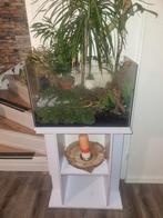 Aquarium met onderstel, Dieren en Toebehoren, Ophalen, Leeg aquarium