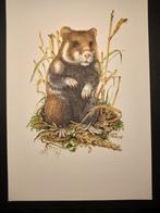 Hamster, Verzenden, 1980 tot heden, Zo goed als nieuw, Dier