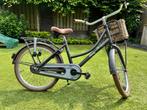Alpina Cargo meisjes fiets 20 inch antraciet, Fietsen en Brommers, Fietsen | Meisjes, Ophalen, Gebruikt, 20 inch
