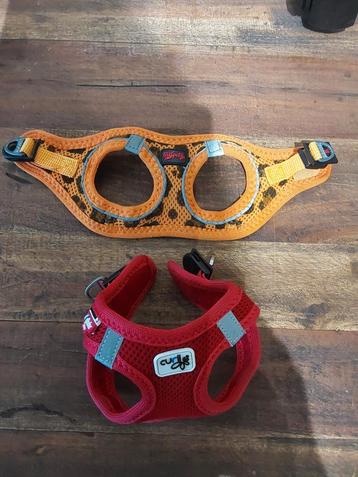 Xxxs honden puppy tuigje Curli rood *Oranje gereserveerd  beschikbaar voor biedingen