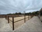 Paardenbakken en veel meer!, Ophalen of Verzenden, Nieuw, Overige soorten